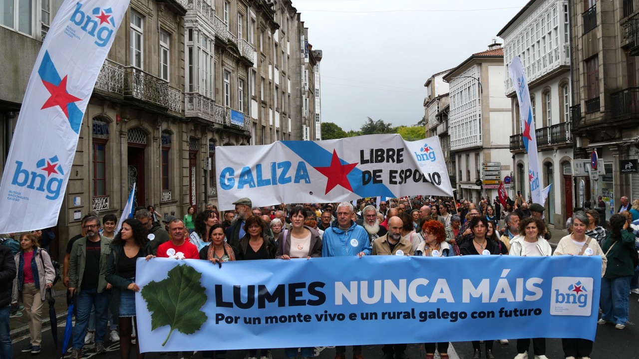 Manifestación_incendios_nunca_máis.jpg