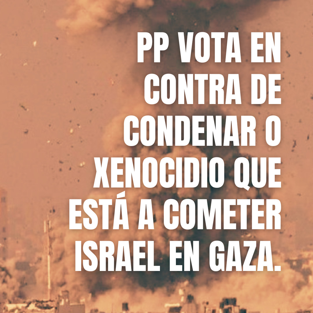 Encabezado(11).jpg